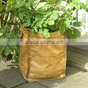 Garden Planting Grow Bag thumbnail-1