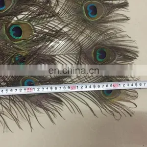 220cm Large Decorative Natural Peacock Feather Fan for Party thumbnail-2