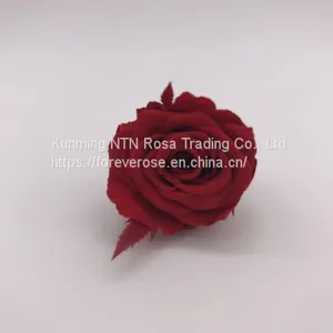 Factory Supply Wholesale A GRADE Best Quality China Preserved Roses thumbnail-2
