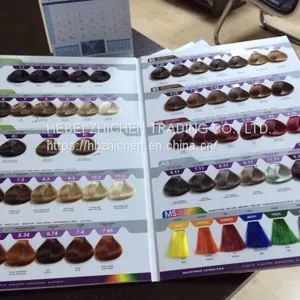 Customized Hair Color Chart Manufacture thumbnail-2