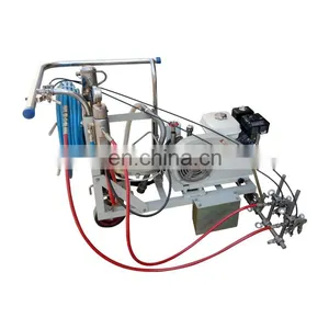 New Design Hand Push Cold Paint Spraying Marking Machine For Road thumbnail-5