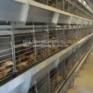 Djibouti Poultry Farm Battery Broiler Cage & Meat Chicken Cage & Chicken Coop in Chicken Shed thumbnail-1