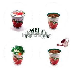 Flower Cup thumbnail-1