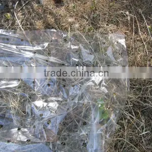 Agricultural Mulch Film With Micros Holes thumbnail-1