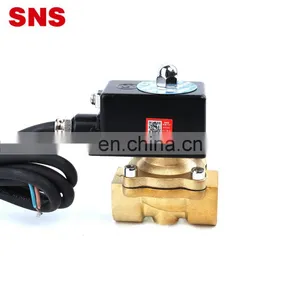 SNS 2WF Series 110V Explosion-proof Normally Closed Pneumatic Large Diameter Coil Brass Solenoid Valve thumbnail-3