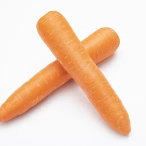 Fresh Carrots Fresh Vegetables thumbnail-1