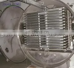 Shanghai Factory Industrial Vacuum Freeze Dryer Equipment / Lyophilizer FD Food Drying Machine for Foods Vegetables Fruits Chips thumbnail-3