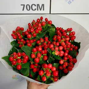 Fresh Cut Berry From China China Fresh Flower Supplier thumbnail-1