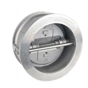 Manufacturer Direct Sales Flange Butterfly Check Valve thumbnail-2