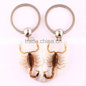 2016 New Keychain With Real Insect thumbnail-4
