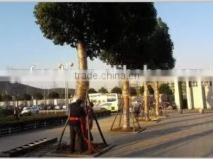 Hot Sale PP Nonwoven Fabric for Tree Trunk Protection thumbnail-1