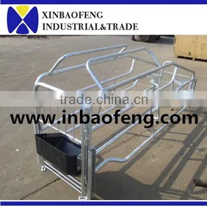 High Quality Farrowing Crates for Pigs thumbnail-1