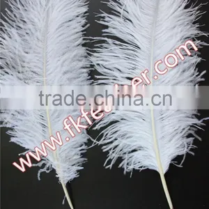 Natural Craft Feather Big White Ostrich Feather For Wedding And Party Decoration 60cm-65cm thumbnail-2