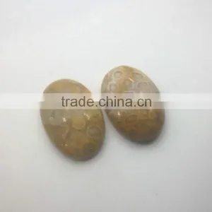 Wholesale High Quality Smooth Polished Natural Fossilized Coral Stone Cabochon thumbnail-1