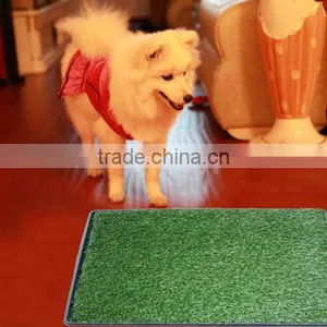 Potty Patch China Factory Direct thumbnail-1