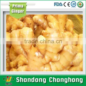 [HOT] Ginger Root/Ginger Price/price of Fresh Ginger thumbnail-1
