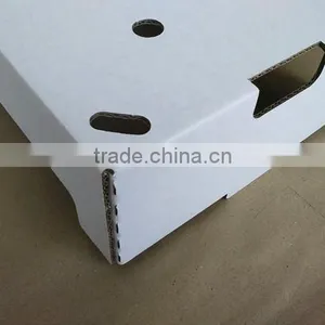 Best Quality Corrugated Mango Packing Box thumbnail-6