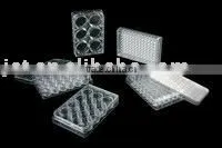 Tissue Culture Plate thumbnail-1