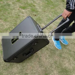 2016 New DJI Phantom 4 Hot Sale DJI Aluminum Carry Case,DJI Phantom 4 Case thumbnail-4