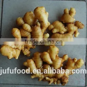 Low Price Fresh Ginger From China thumbnail-2