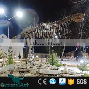 OAV2413 High Quality Dinosaur Skeleton Model thumbnail-6