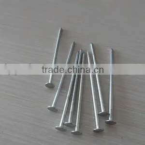 Price of Iron Nails , Iron Common Nail thumbnail-1