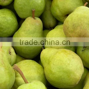Fresh Pears Bulk thumbnail-1