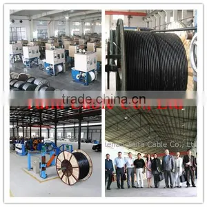 Supply 0.6/1KV Power Cable XLPE Insulated Power Cable thumbnail-2