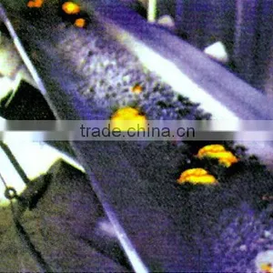 Heat-resistant Conveyor Belt thumbnail-3