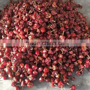 Round Chilli thumbnail-2