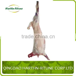 Halal Meat Wholesale Frozen Lamb Carcass thumbnail-6