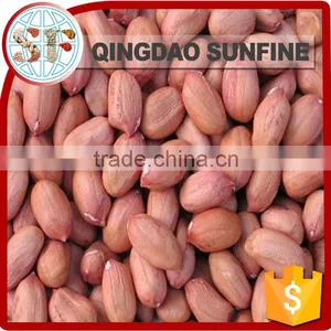 Salted Raw Peanuts Kernel thumbnail-4
