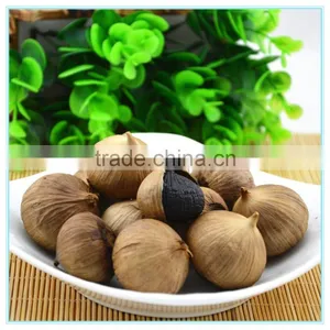 Fresh Solo Garlic or Fermented Solo Garlic, Peel the Garlic thumbnail-1