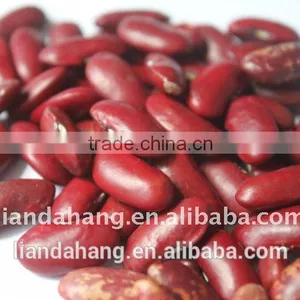 Premium Quality Green Mung Beans thumbnail-6