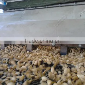 Automatic Melon Seed Sheller/Pumpkin Seeds Processing Machine Price thumbnail-5