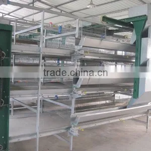 China Sell Automatic Poultry Comericial Cage for Romania thumbnail-4