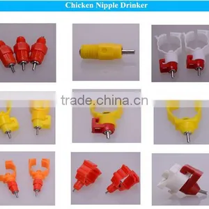 Supply for Convenient Automatic Poultry Equipment thumbnail-1