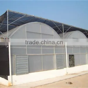 Low Price Multi Span Greenhouse With Film Covering thumbnail-2