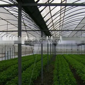 Multi-Span Agricultural Greenhouses Type and Film Cover Material thumbnail-2