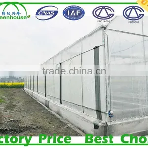 PC Sheet Greenhouses for Sale thumbnail-5