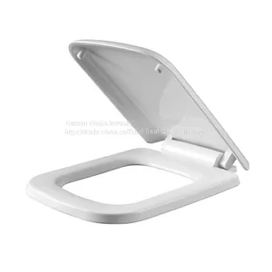 New Toilet, Plastic Slow Sown Thickening,pp General Purpose thumbnail-1
