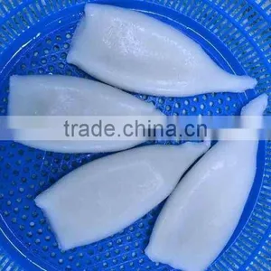 Frozen Squid Tube U5 thumbnail-1