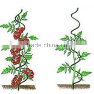 Galvanized Growing Spirals thumbnail-1
