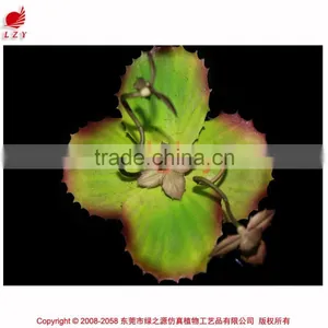 Succulent Plants Potted Succulent Artificial Bonsai Plant Succulent thumbnail-2