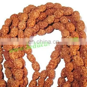 Rudraksha Beads String (mala) 2 Mukhi (two Face), Size: 7mm Thickness thumbnail-1