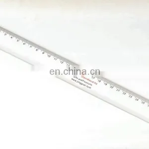 30 cm Ruler Printable thumbnail-3