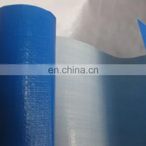 pe Tarpaulin Blue/silver Awning Tarpaulin in Roll thumbnail-5