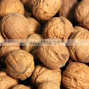 Walnut Shell Breaker PeelingWalnut Nuts Chestnut Peeling Machine thumbnail-7