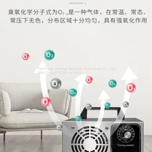 Adjustable 3.5g~7g Ozone Generator Durable Metal Cabinet Ozone Purifier With Double Ceramic Plates Ozone Generator, Ozone Sanitizer thumbnail-2