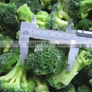 Iqf Frozen Vegetable Fresh Broccoli thumbnail-1